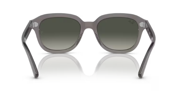 Kính Mát Rayban 4398F-6675/71(53)